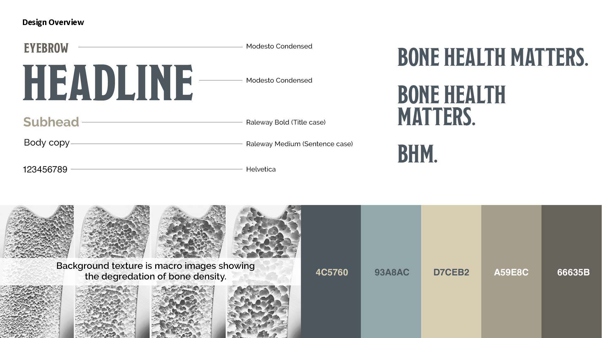 Alternate design system exploration, blue-grey bone density imagery
