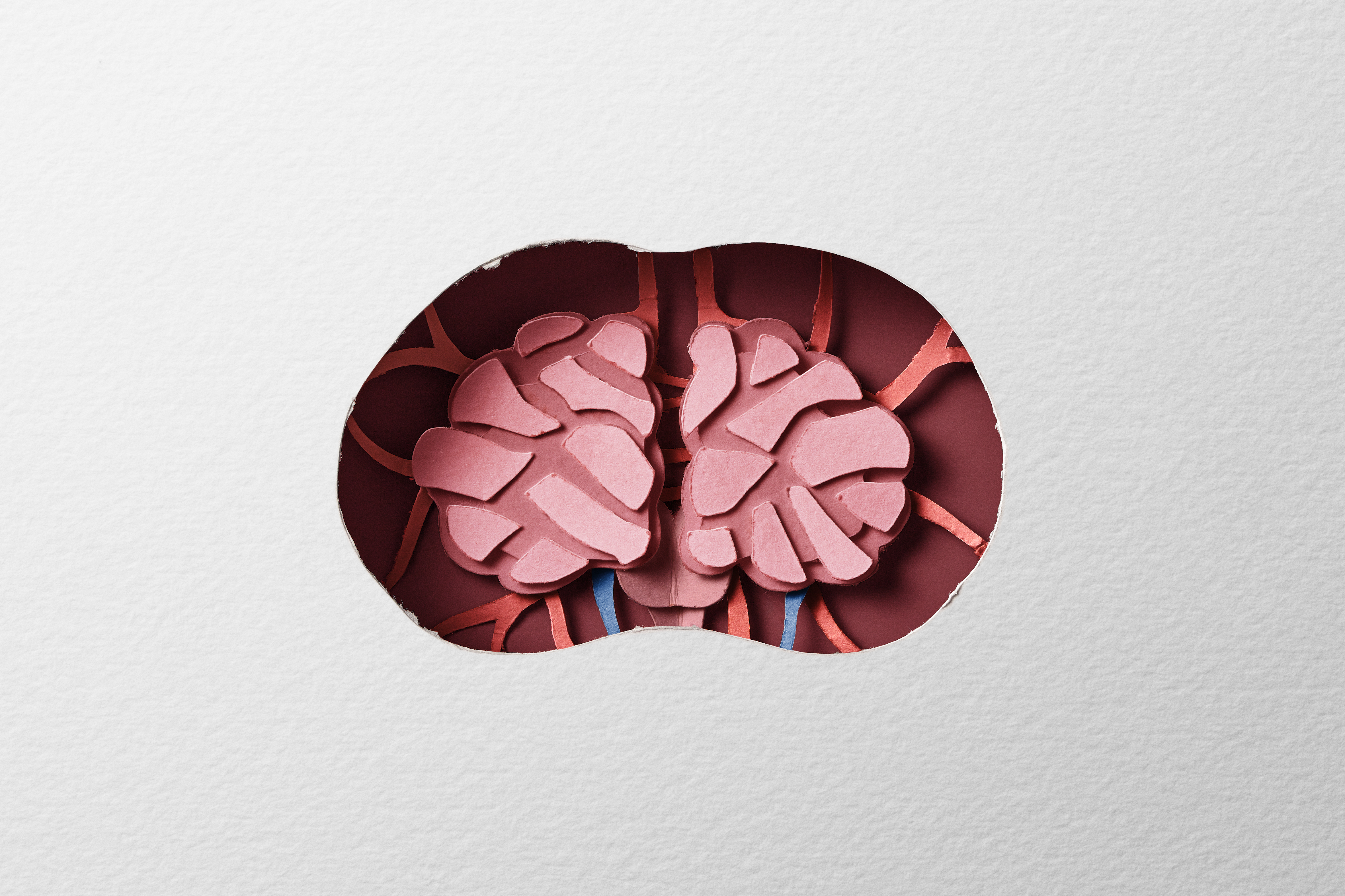 Hand-cut paper brain revealed inside a doll