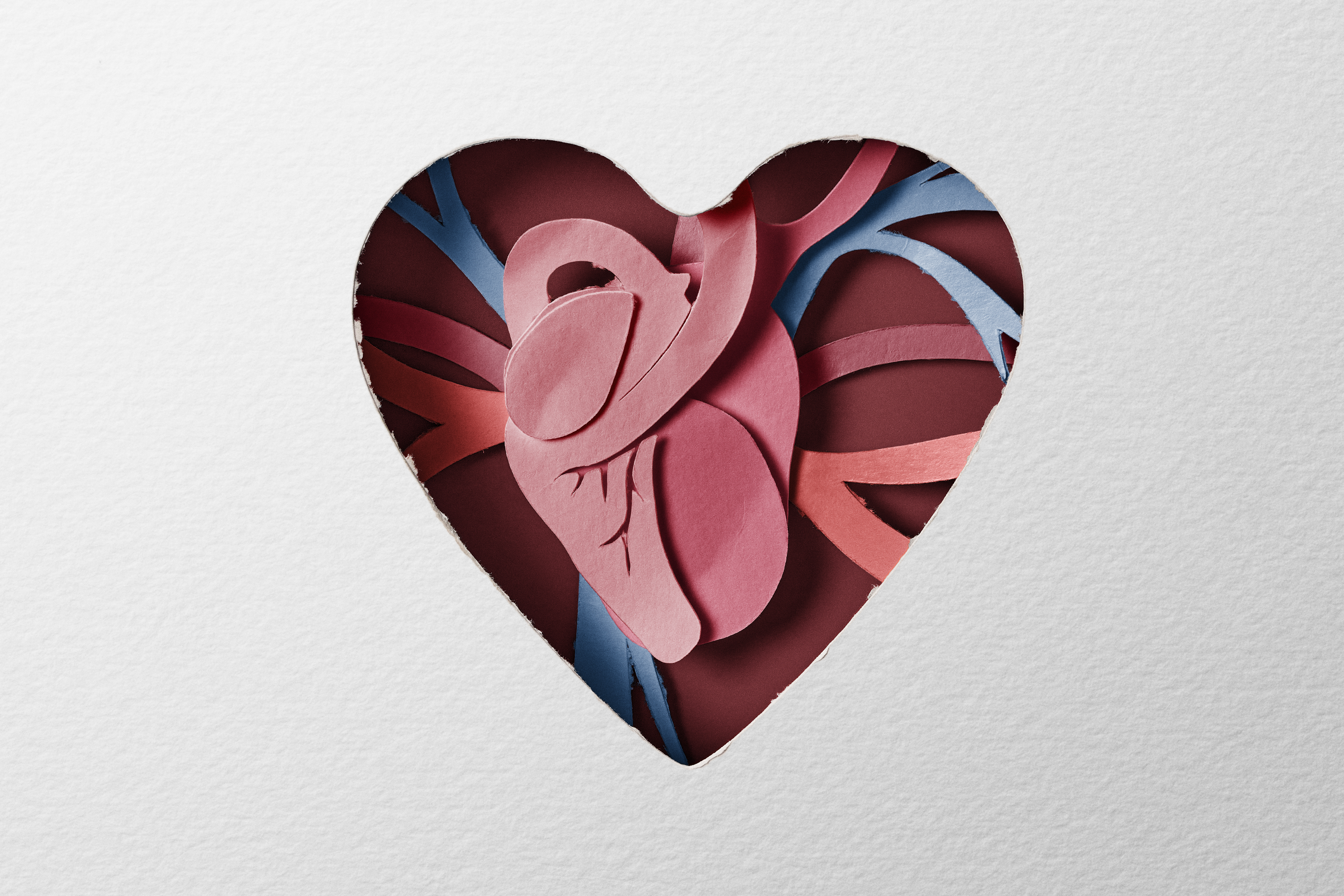 Hand-cut paper heart revealed inside a doll