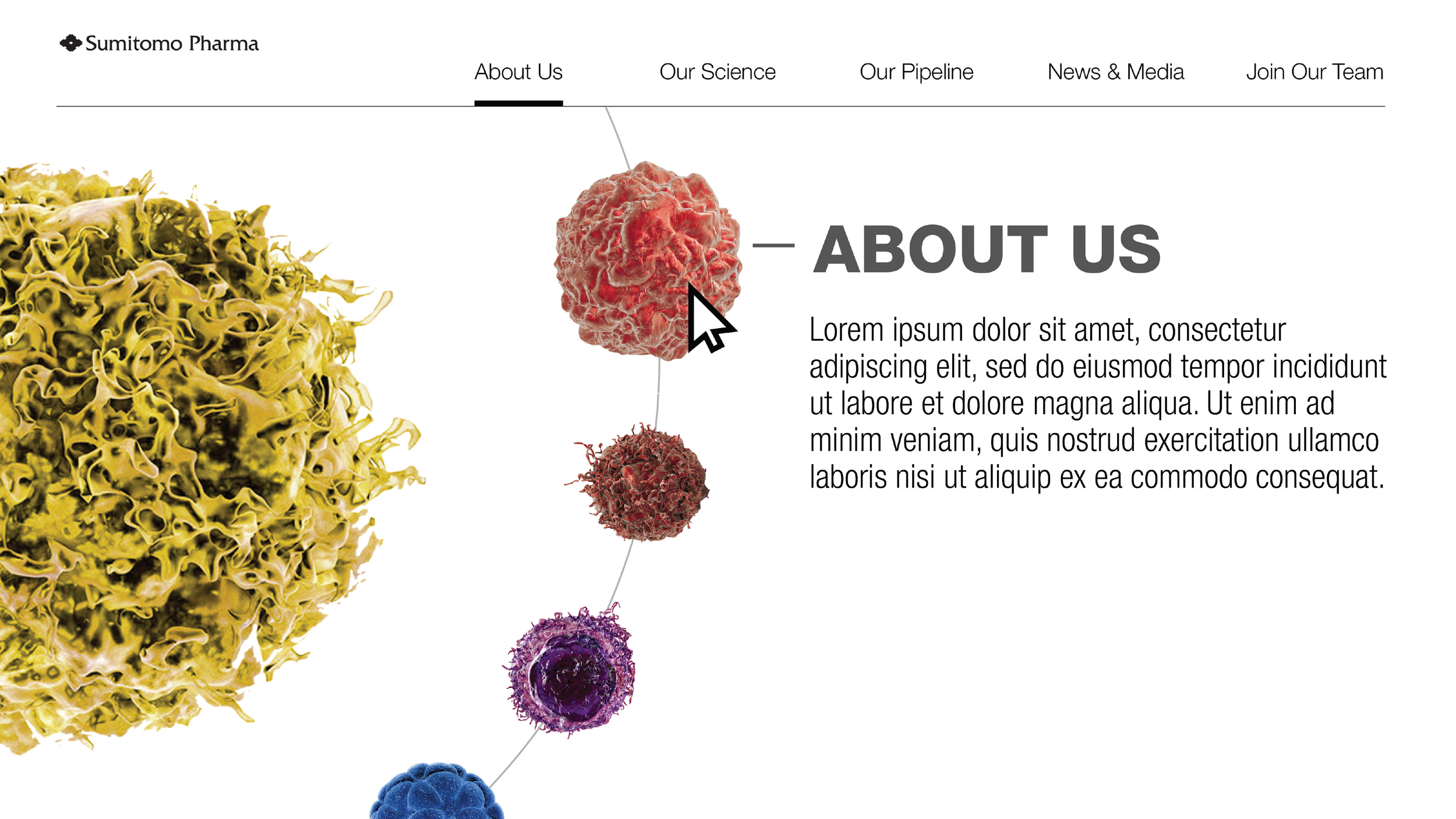 SMPO About Us page design