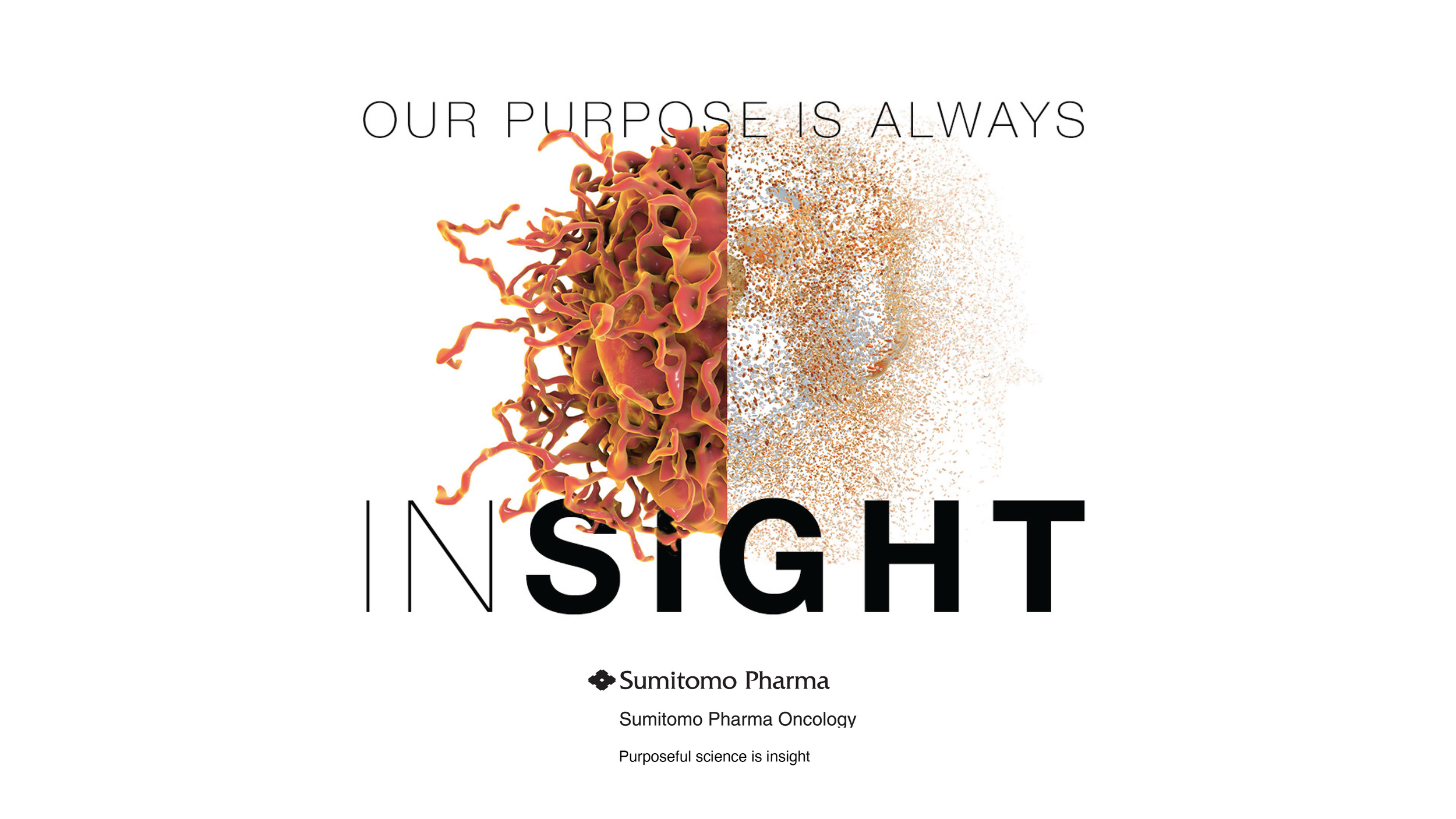 Our Purpose Is Always InSight