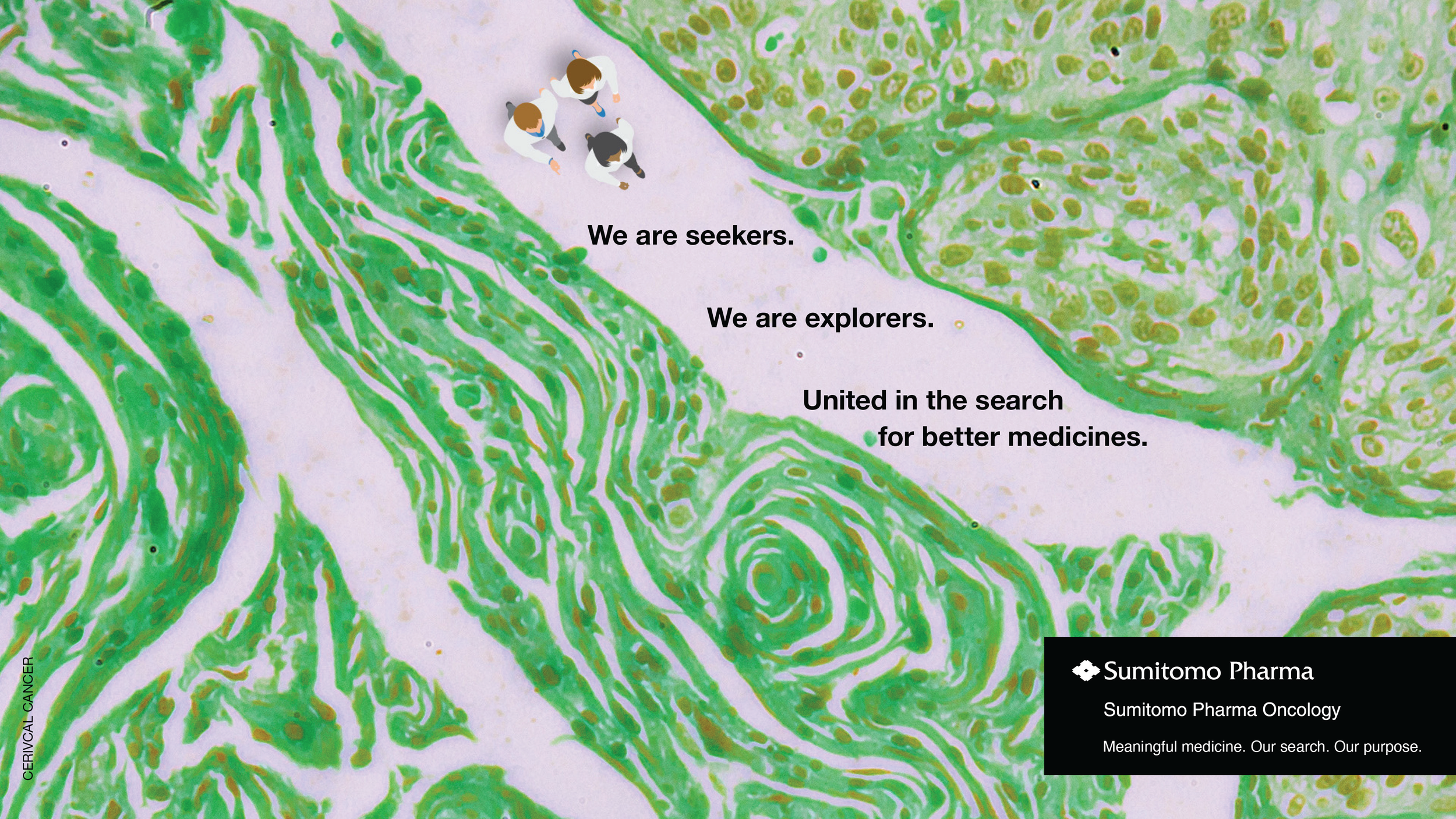 We are seekers. We are explorers. United in the search for better medicines.