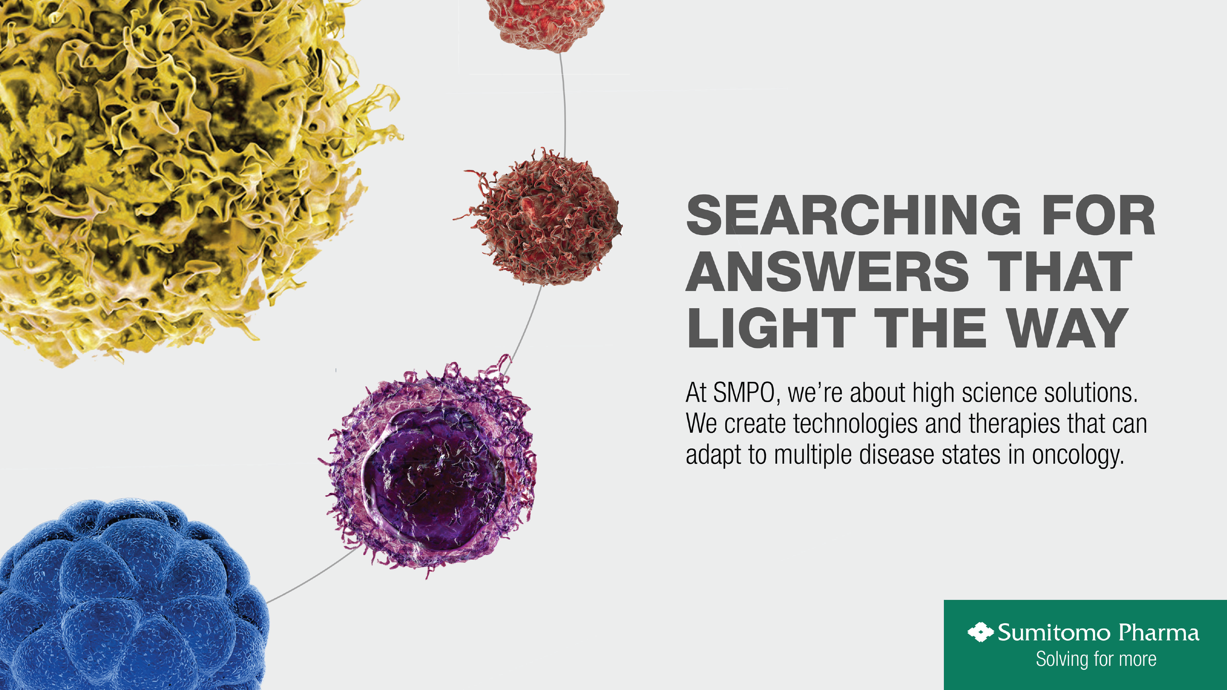 Searching for Answers That Light the Way